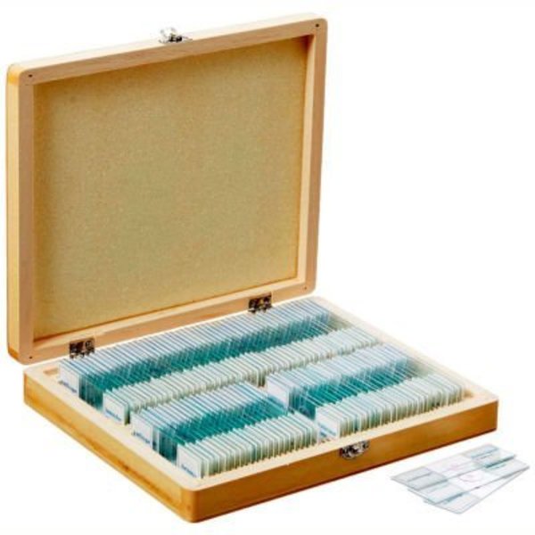 United Scope Llc. AmScope PS100E 100 pc. Homeschool Biology Prepared Microscope Slides with Wooden Case PS100E